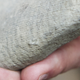 Image for article titled Mystery cactus-like fossil named "Godzillus" found, unlike any other lifeform
